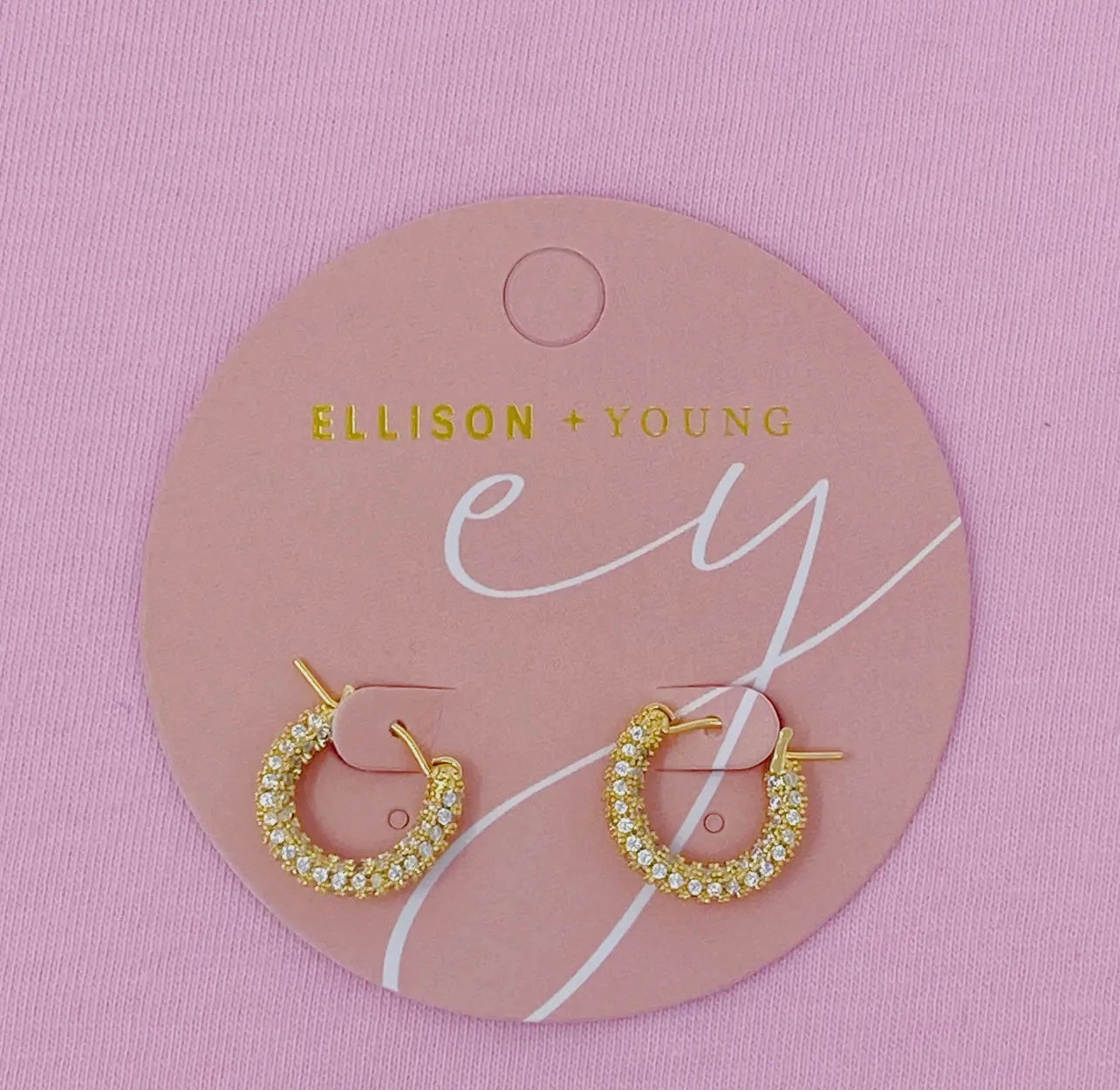 Elegant Shine Hoop earring