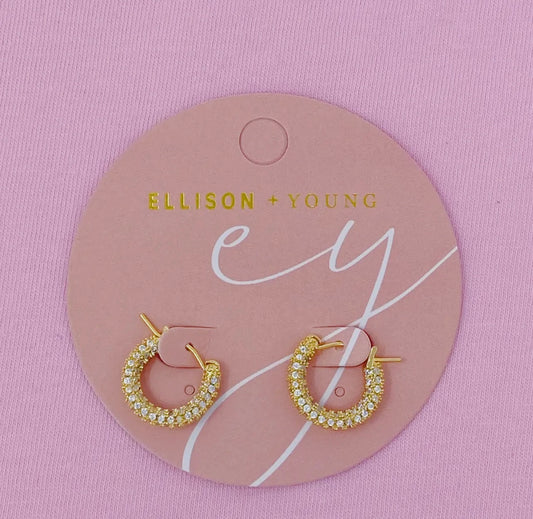 Elegant Shine Hoop earring